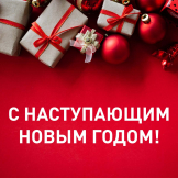 С наступающим Новым Годом! 