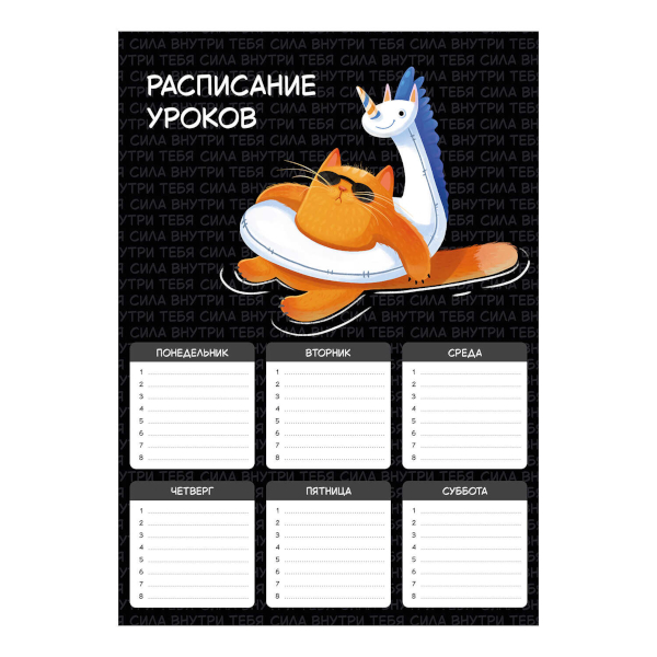 Расписание уроков А4 "Драйв" картон 72598 Феникс+